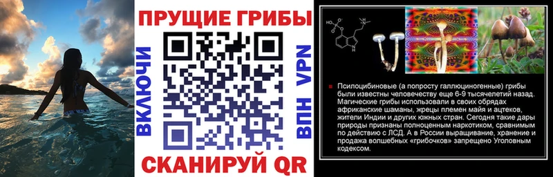 где продают   mega как зайти  Галлюциногенные грибы мицелий  Невельск 